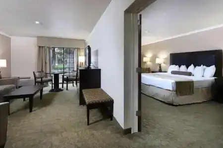 Best Western Tucson Int'l Airport & Suites - 33
