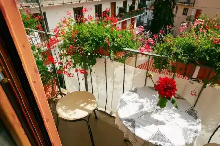 Nido Verde - 24