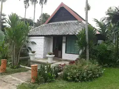Bura Lumpai - 44