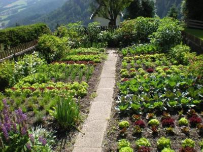 Almdorf Haidenberg - 21