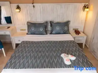 Portakal Dalyan - 22
