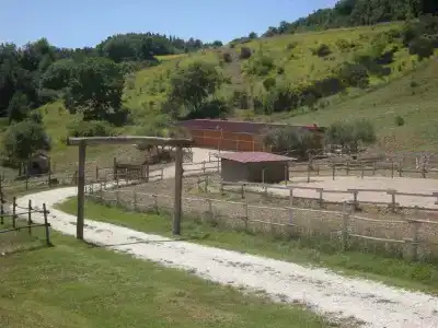 Agriturismo Goccia di Luna - 7