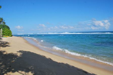 Vista Paradise Beach - 13