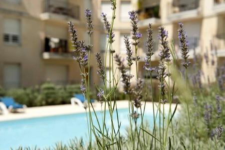 ApartAdagio Access Rodesse - 17