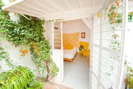 Casa Canario - 57
