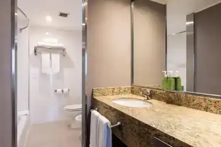 Holiday Inn Express Puerto Madero, An Ihg - 87