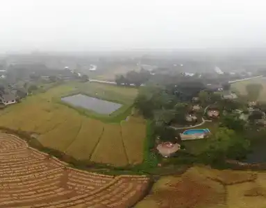 The Countryside - 15