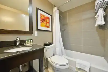 Holiday Inn Lower East Side, An Ihg - 64