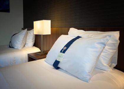 Holiday Inn Express Lille Centre, an IHG - 51