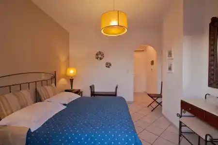 Delfini - 2