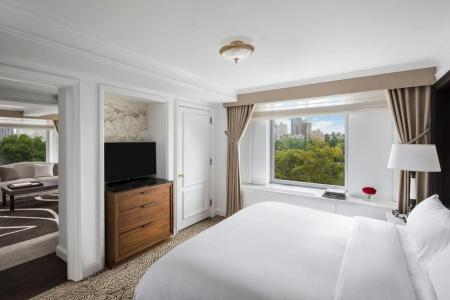 The Ritz-Carlton New York, Central Park - 25