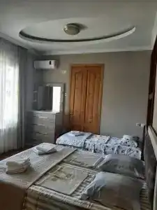 Magnolia Agmashenebeli - 24