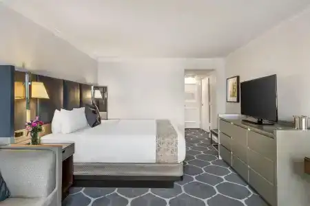Royal Sonesta Houston Galleria - 44