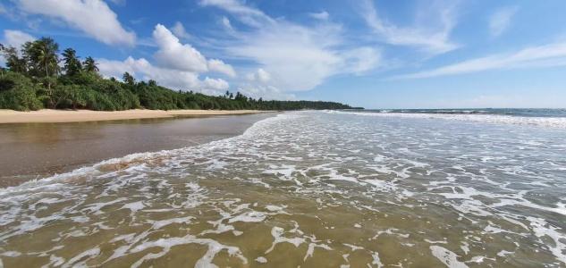 Mawella Beach Resort - 8
