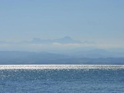 Traube am See - 19