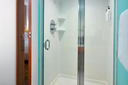 SpringHill Suites by Marriott Orlando at SeaWorld - 48