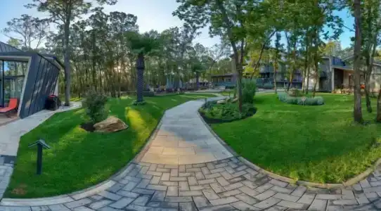 Utopia Forest - 80