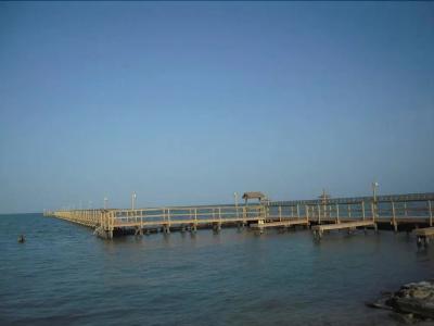 Bayfront Cottages - 10
