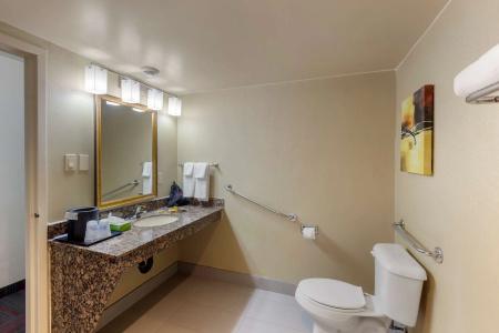 Best Western Plus Toronto Airport - 46