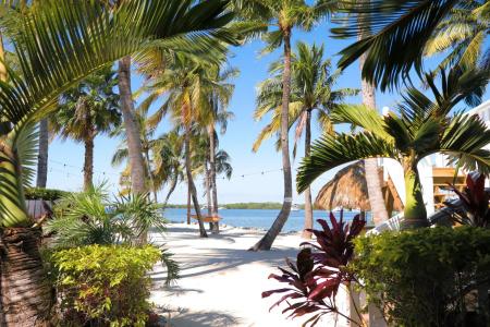 Coconut Palm Inn - 21