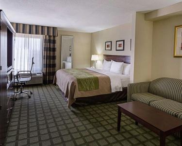 Comfort Inn & Suites Southwest Freeway at Westpark - 50