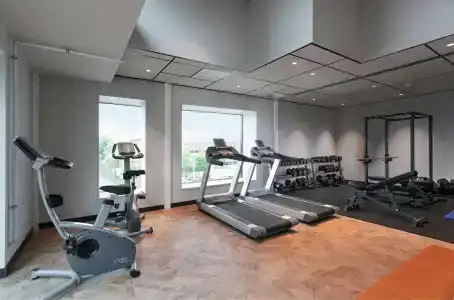 Olympic - 15