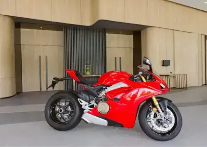 Modena By Fraser - Sha Extra Plus - 17