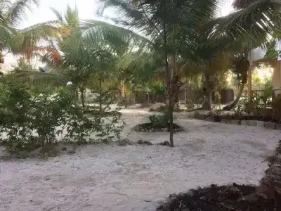 Mnana Beach Bungalows - 14