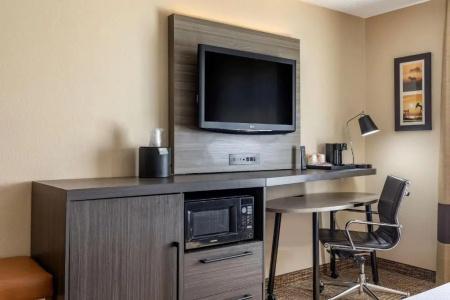 Comfort Inn & Suites North Dallas-Addison - 31