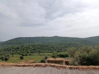 Delice Doğa Evi - 41