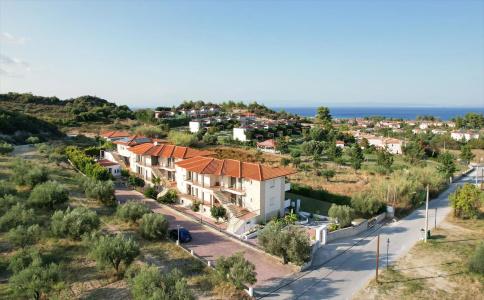 Ampelia Studios - 16