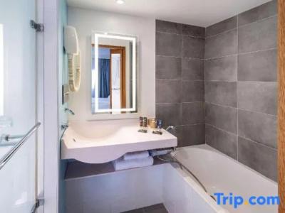 Novotel Toulouse Centre Compans Caffarelli - 67