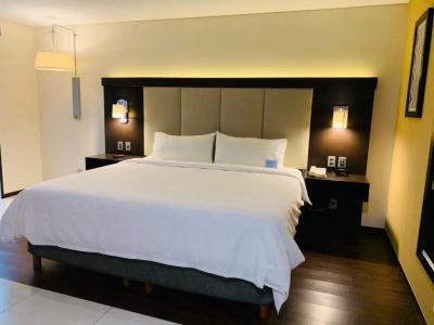 Holiday Inn Express - Mexico Basilica, An Ihg - 44