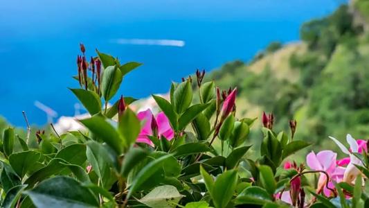 Albergo Diffuso Bacco Furore - 63