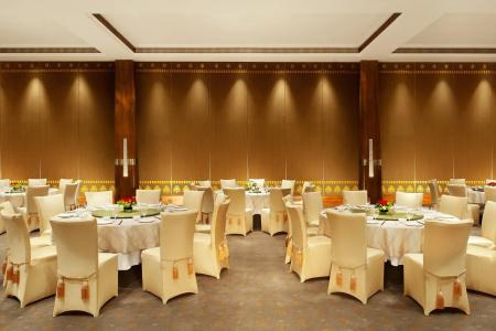 The St. Regis Lhasa Resort - 30