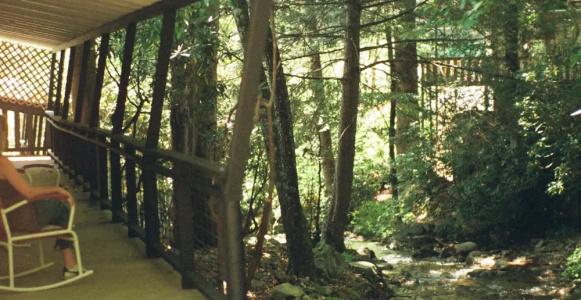 Route 19 Inn - 35