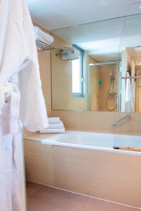 Holiday Inn Mulhouse, An Ihg - 108
