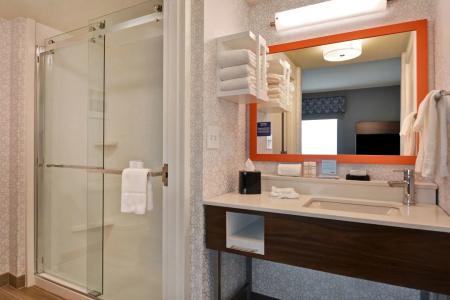 Hampton Inn & Suites/St. Petersburg-Ulmerton Road - 8