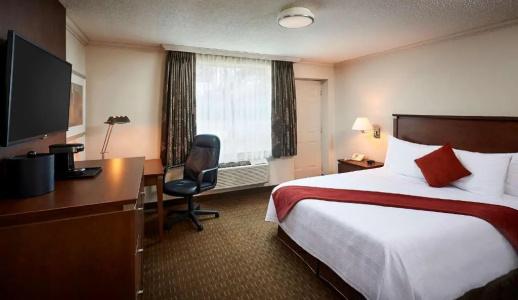 Best Western Plus Guildwood Inn - 32