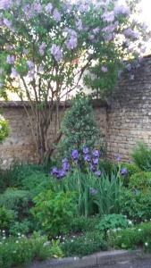 La Villa Fleurie - 10
