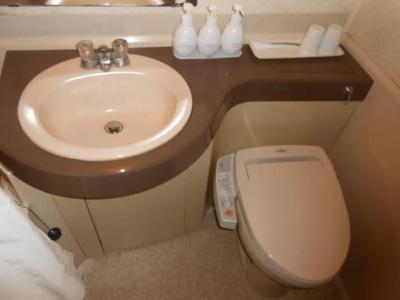 Select Inn Fujisan Gotemba - 56