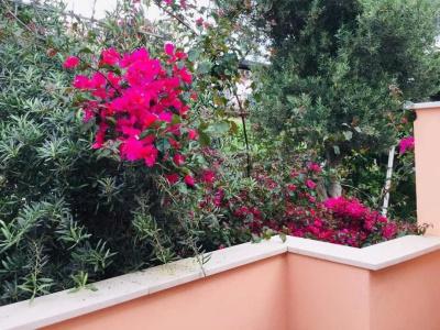 b & b da Jasmine - 11