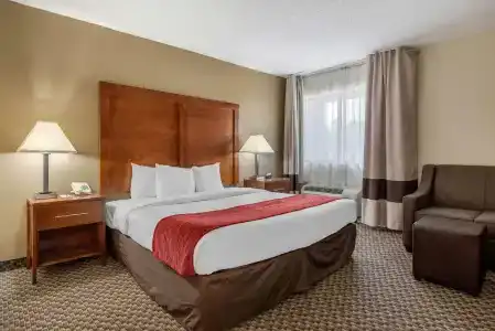 Comfort Inn South - 42