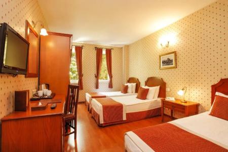 Erguvan - Special Category - 42