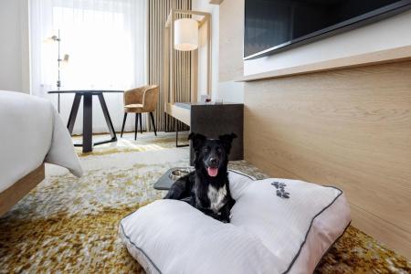The Westin Grand Frankfurt - 26