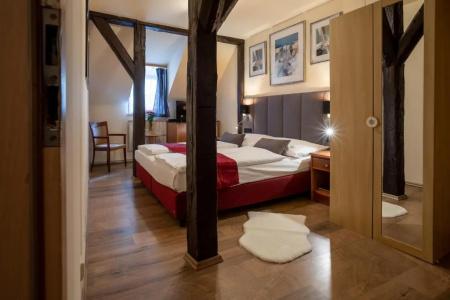 Pension U Lilie - 43