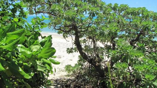 Nata Beach Villa - 11