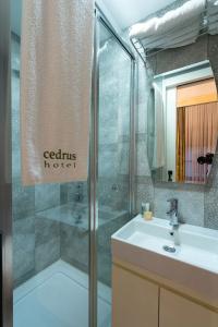 Cedrus - 124