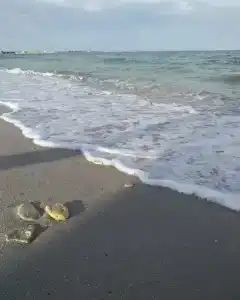 Дыхание Моря - 2