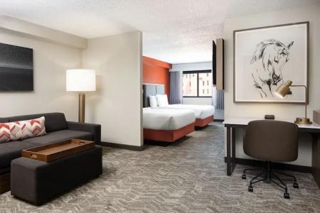 SpringHill Suites by Marriott Dallas Downtown / West End - 42
